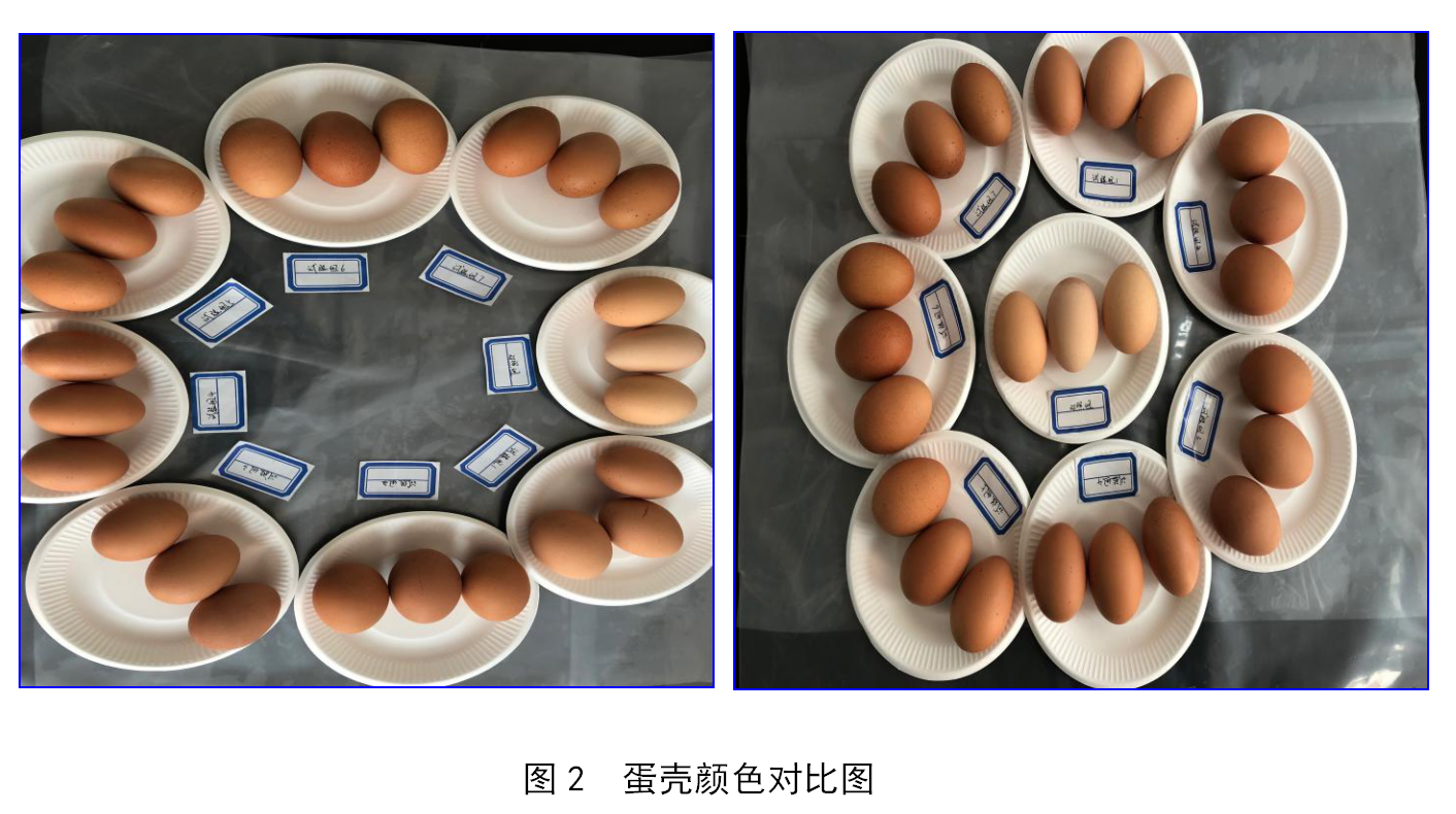 PP电子·仿照器(试玩游戏)官方网站